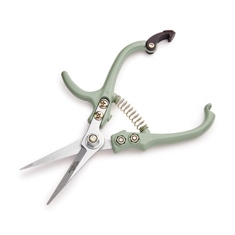 Garden Shears: Sage
