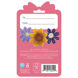 Daisy Cookie Cutter 3.5" Carded