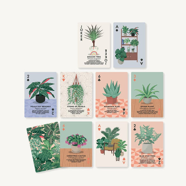 Houseplants Playing Cards – Little Red Hen