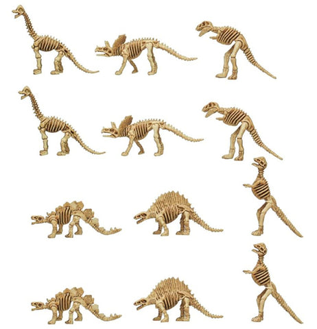 Dinosaur Skeletons - Set of 12