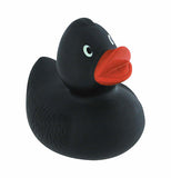 Rubber Duckies Multi Colors