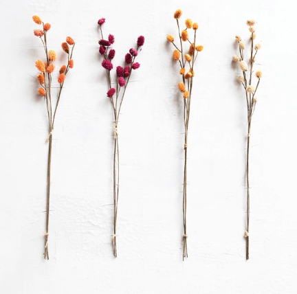 Burgundy 28" Dried Globe Thistle Branch