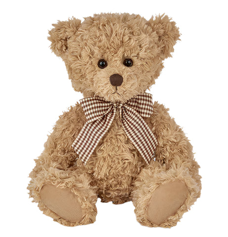 Theodore the Teddy Bear