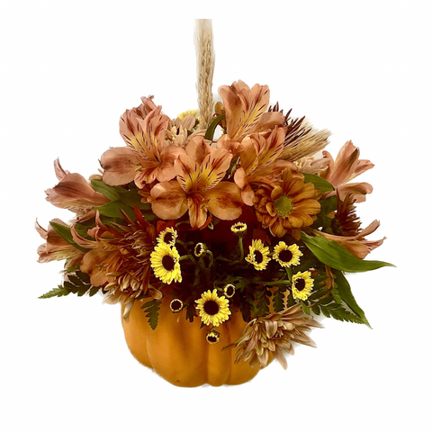 Grateful Gourd