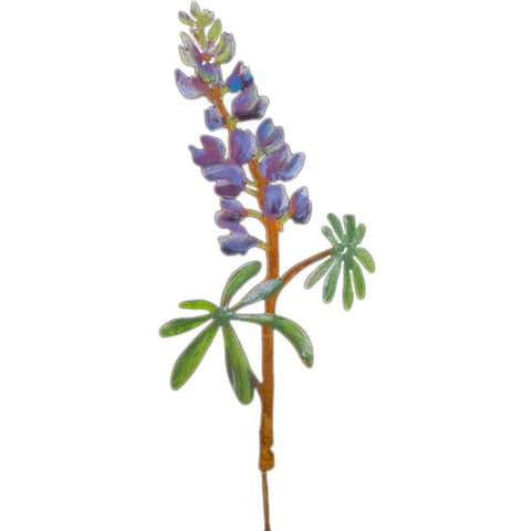 "Lupine" Pick