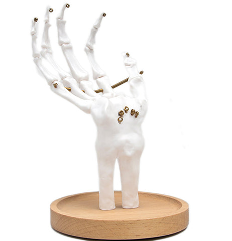 White Skeleton Hand Tidy