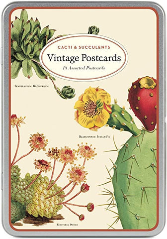 Vintage Postcard Set, "Cacti & Succulents"