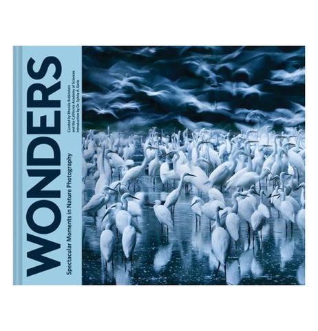 "Wonders" Photography Book