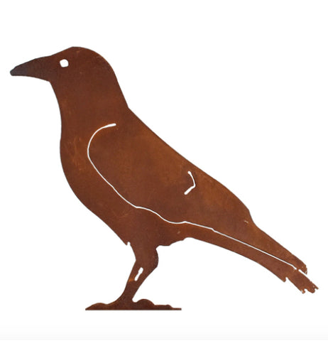 "Crow Looking Straight"