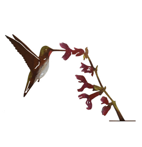 "Upright Hummingbird on Salvia Flower"