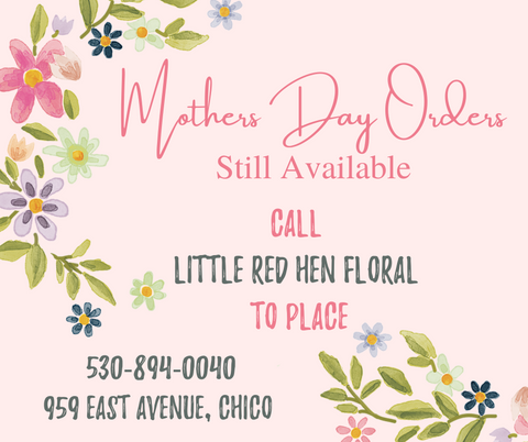 Mother's Day Flowers