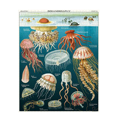 Jellyfish 1000-Piece Puzzle