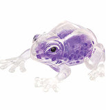 Squish The Frog