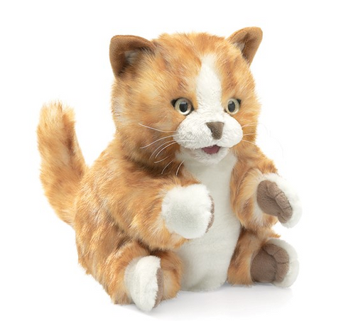 Puppet, Orange Tabby Kitten