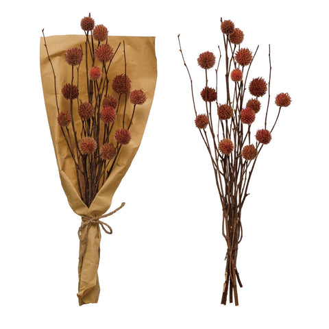Dried Globe Thistle Bunch "Rose"