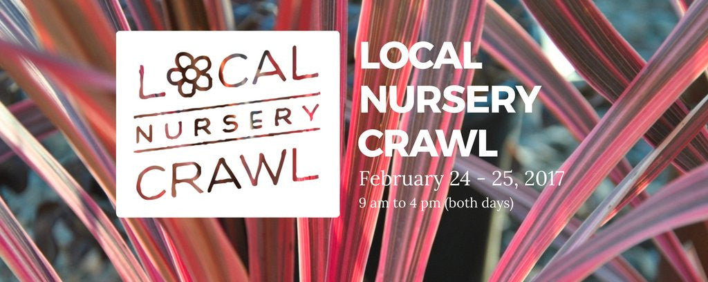 Join the Nursery Crawl