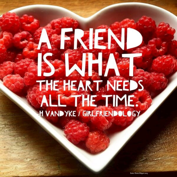 Give Flowers and Friendship this Valentine's Day