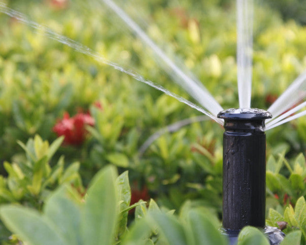 Spring 2015 Planting Tips