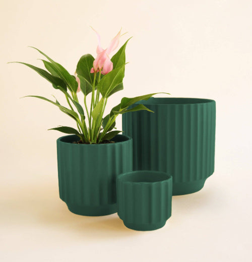 Monroe Planter - Rainforest: 6.75 inch