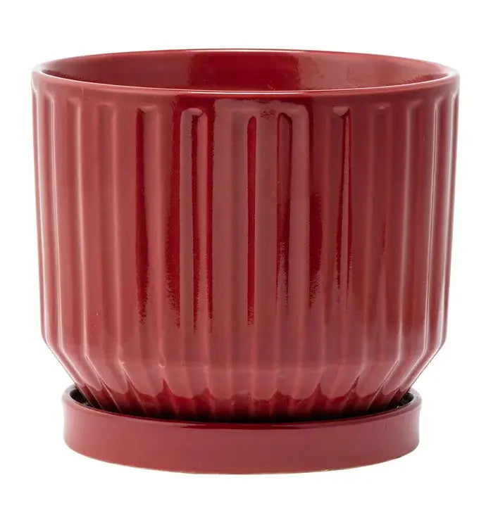 Burgundy Ribbed Planter with Saucer