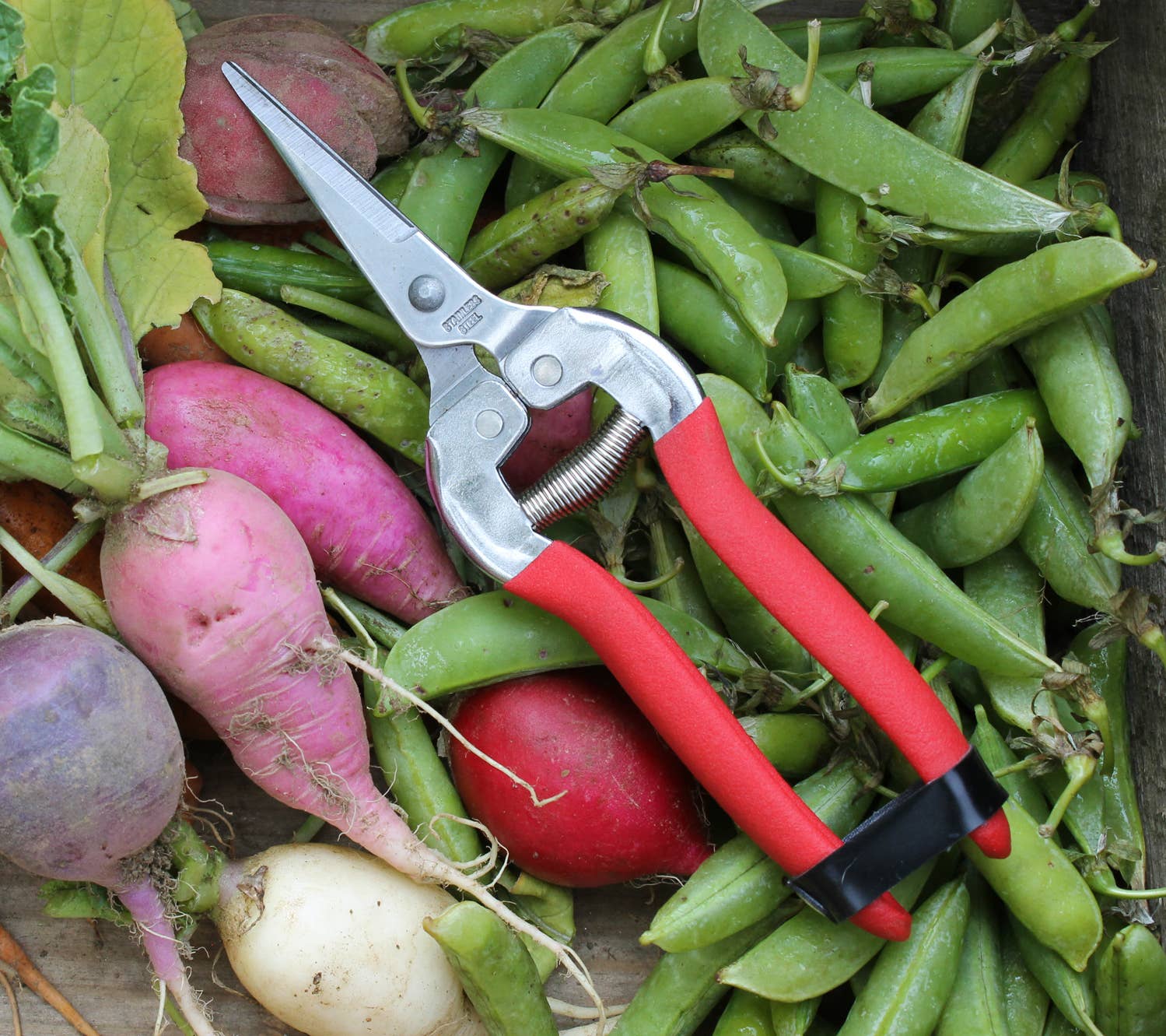 Garden Shears-Needle Nose - Thumbnail 3