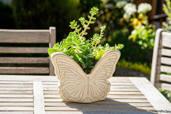 Planter - Ivory Ceramic Butterfly, 7 in.