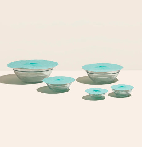 Suction Lid Mint Assorted Sizes