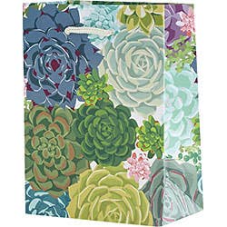 Succulent Gift Bag: Small