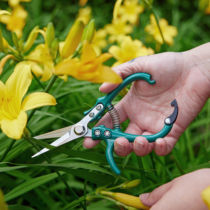 Garden Shears : Sage