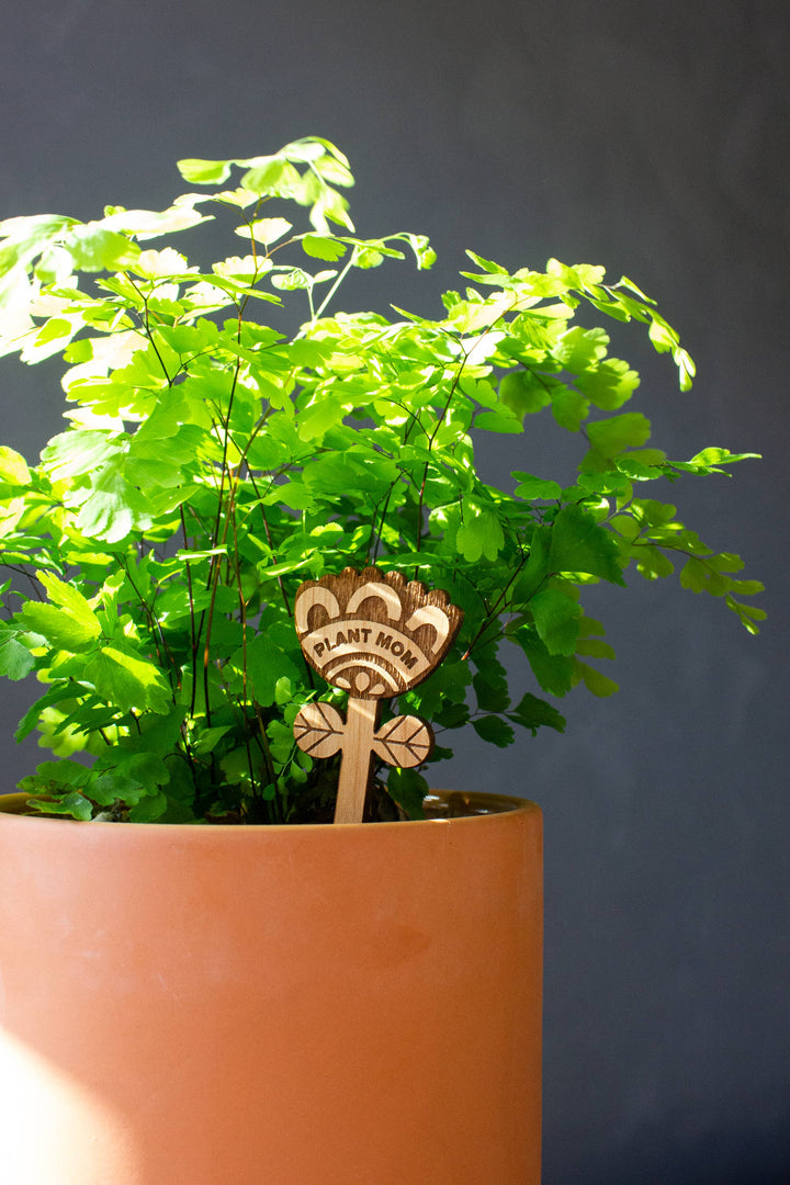 Plant Mom Wood Floral Plant Pick