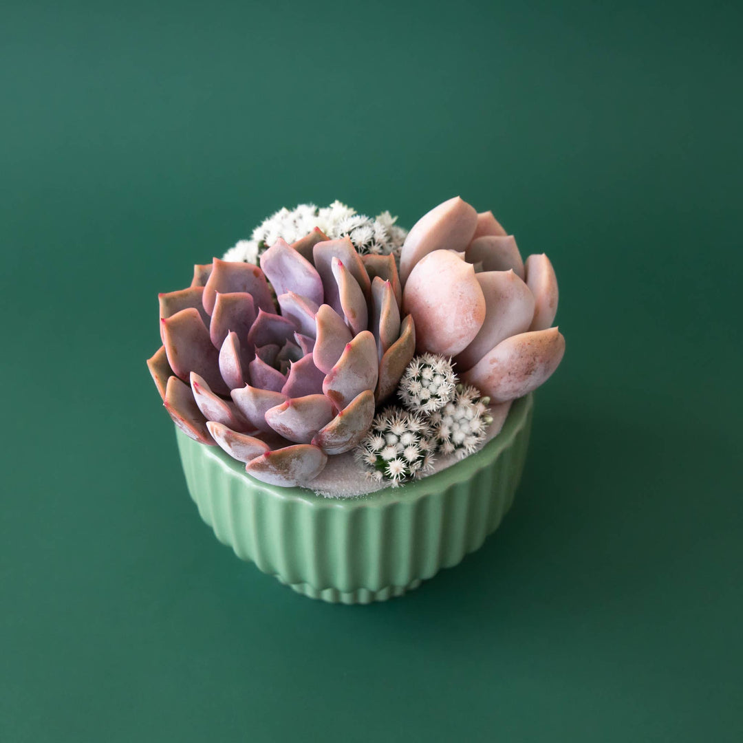 Presley Pedestal Pot | Jade: 4.5 inch
