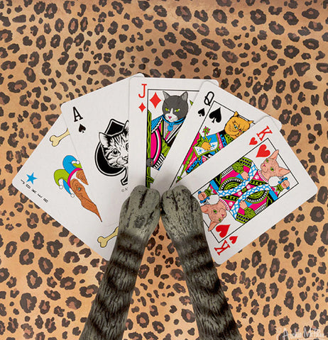 Kitty Playing Cards