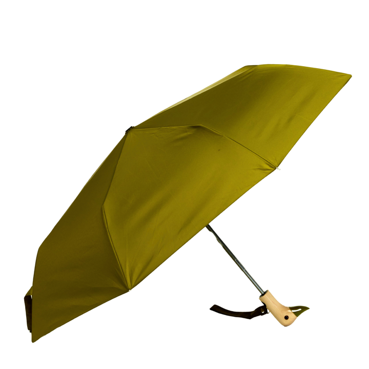 Duck Umbrella