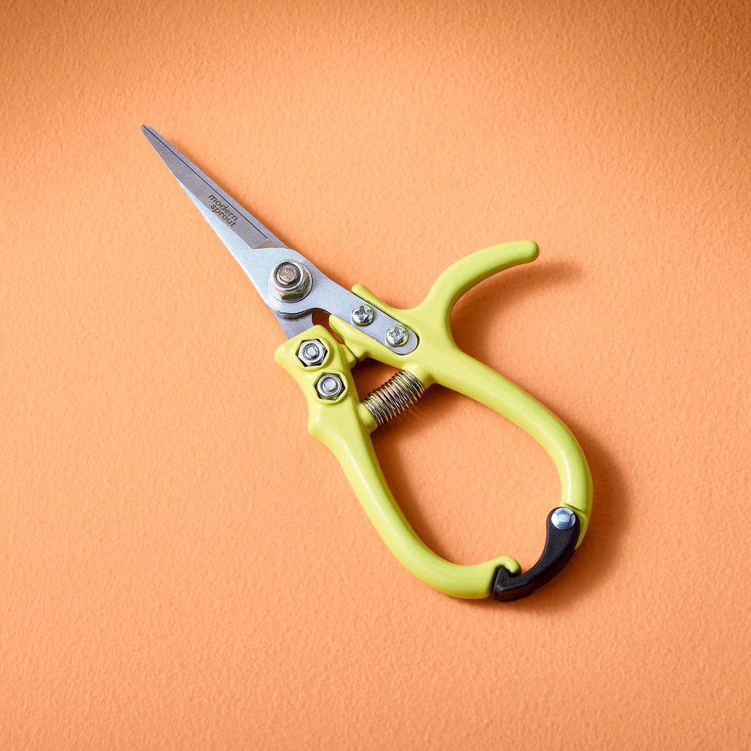 Garden Shears : Lavender