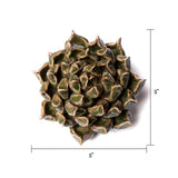 Ceramic Faux Flowers Succulents For Tabletop Or Wall Hangin: Peony Orange