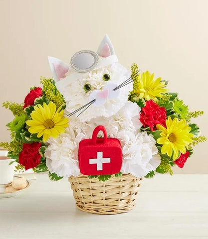 Cure All Kitty