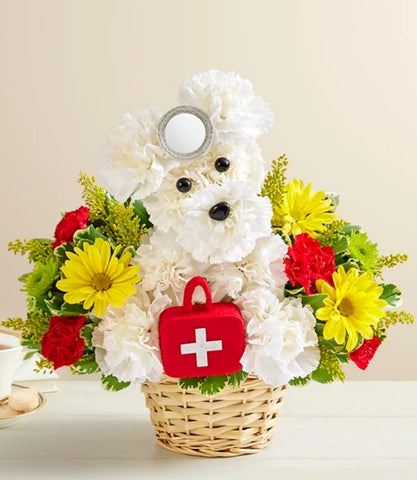 Cure All Doggie