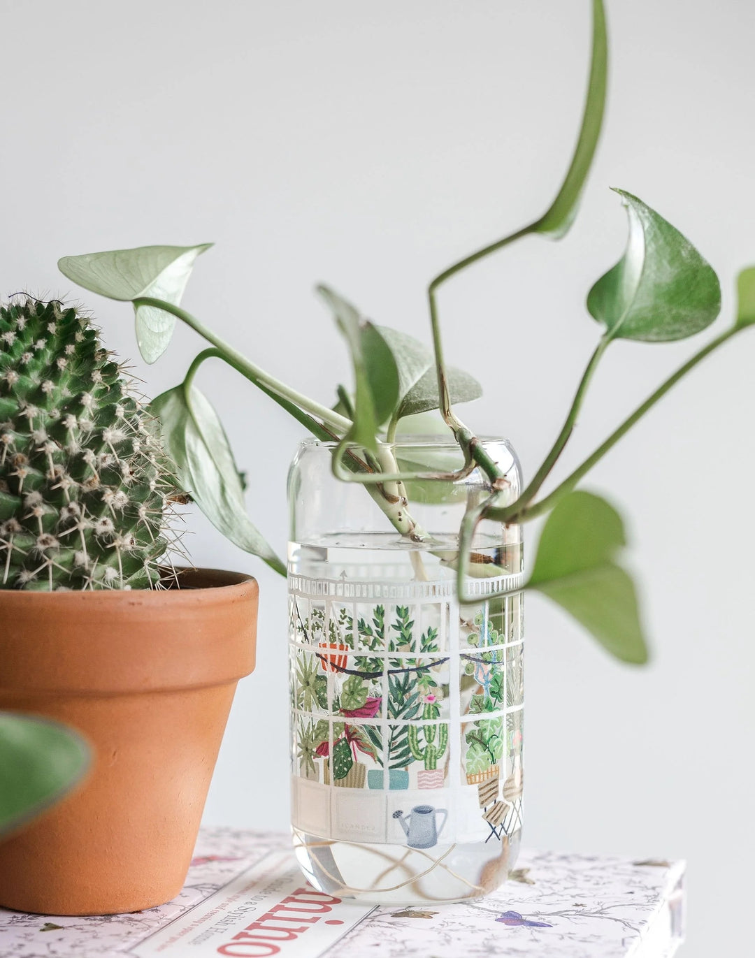 Greenhouse Glass Can Water Bottle