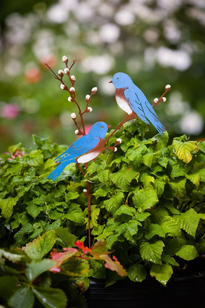 Bluebirds on Pussy Willow -Metal Silhouette Garden Yard Art