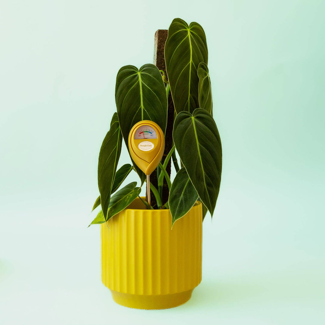Moisture Meter - Green