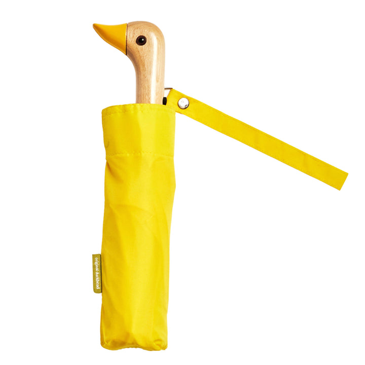 Duck Umbrella
