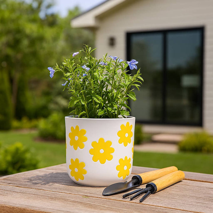 Ceramic Raised Flower Power Planter - White, 6 in.