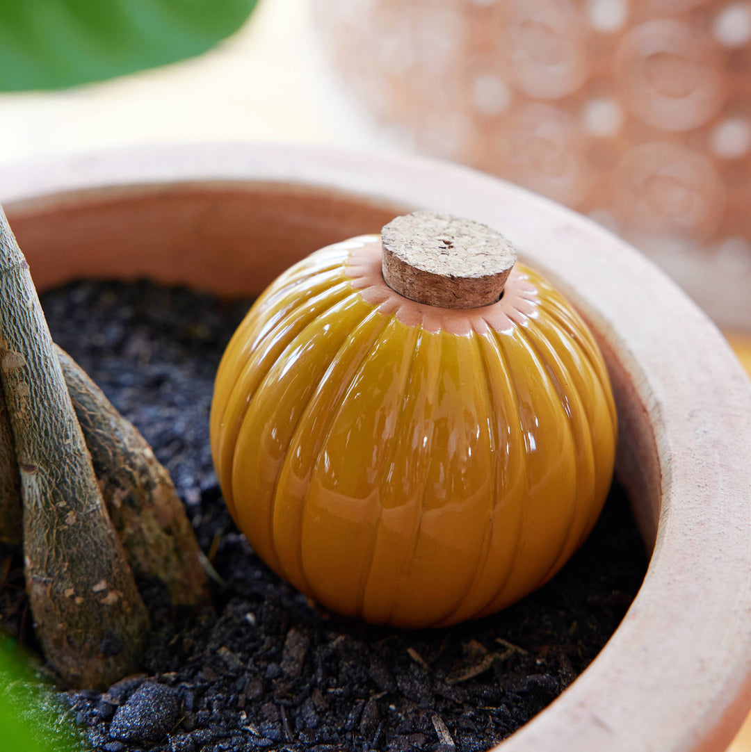 Terracotta Watering Bulb: Sage