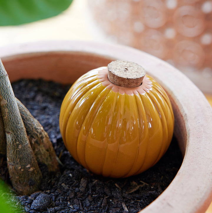 Terracotta Watering Bulb: Sage