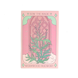 Seeds Wormwood Mugwort