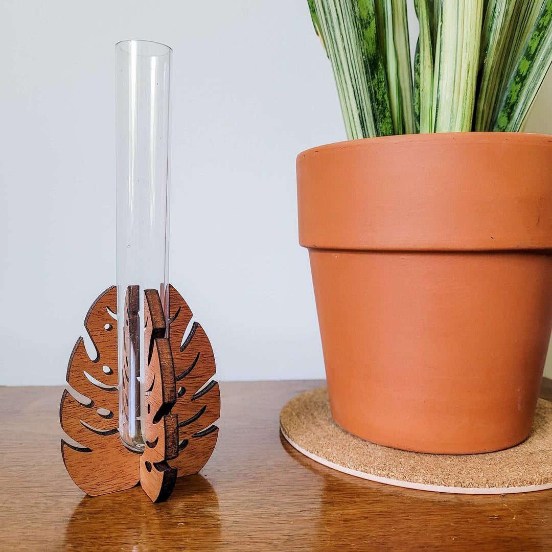Test Tube Propagation Station Monstera Test Tube Holder
