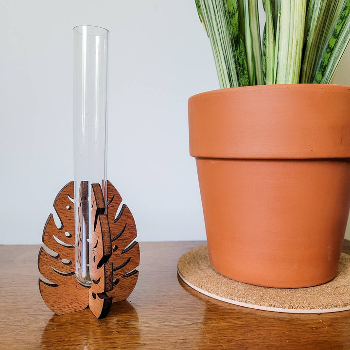 Test Tube Propagation Station Monstera Test Tube Holder