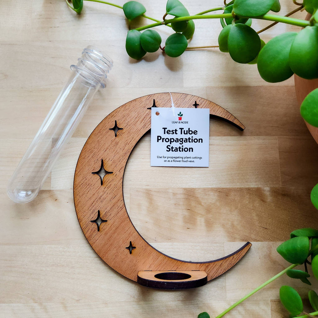 Wall Hanging Propagation Station Wooden Moon &amp; Stars