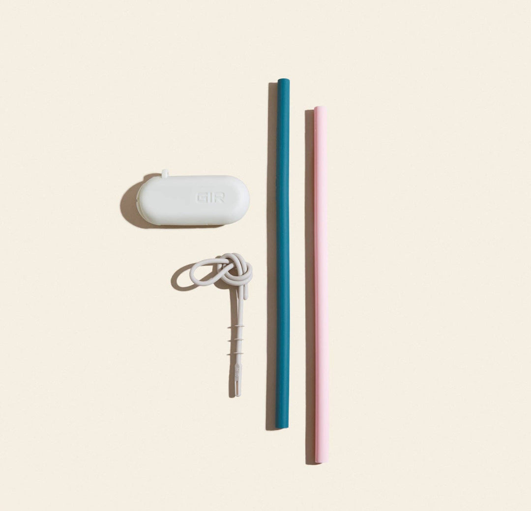 Traveler Straw 2-Pack