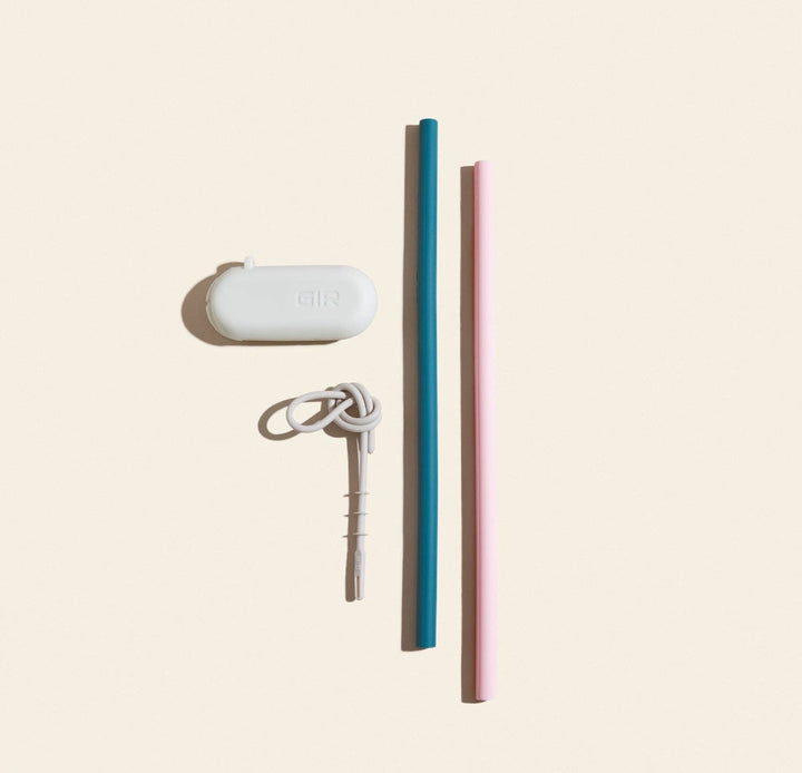 Traveler Straw 2-Pack